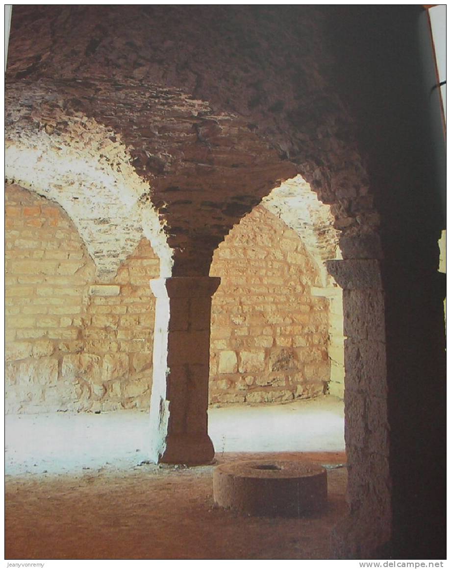 L´abbaye Du Thoronet - Par Yves Esquieu - 1985. - Provence - Alpes-du-Sud