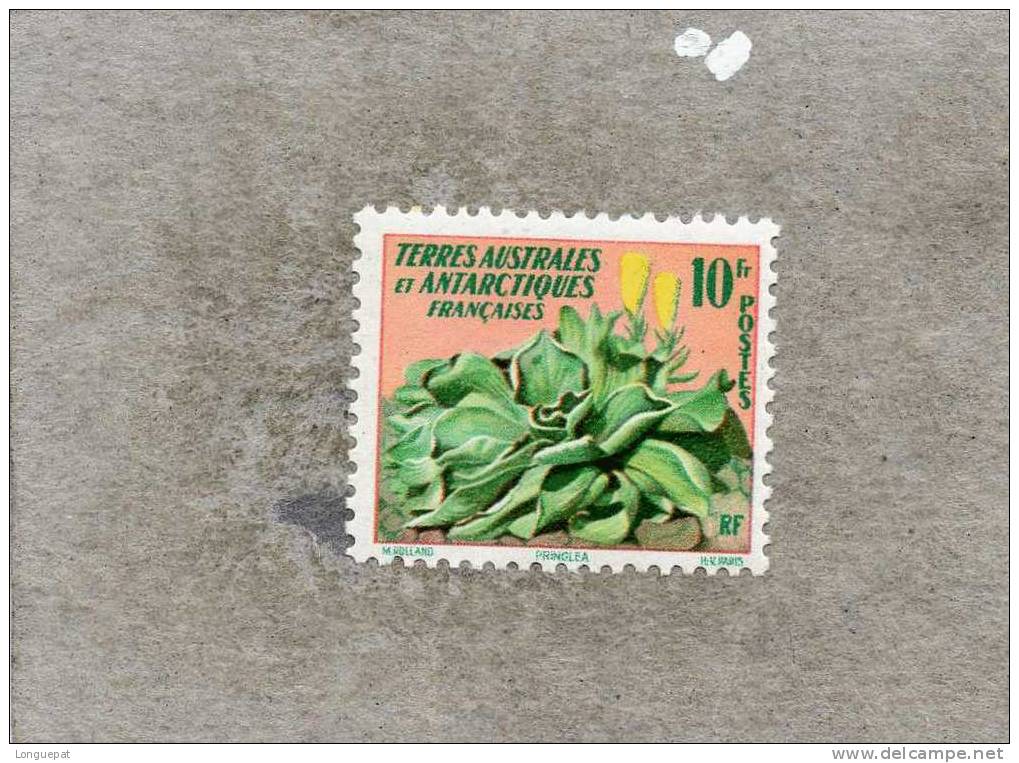 TERRES AUSTRALES Et ANTARCTIQUES Fse :Chou Des Kerguelen (Pringlea) - Unused Stamps