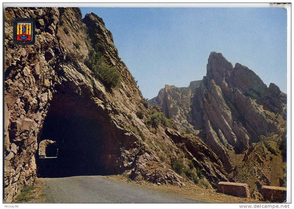 Espagne--Pont De Suert--Tunels   Cpm N° 2286  éd   FISA - Lérida