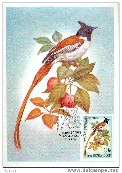 RUSSIE CARTE MAXIMUM NUM.YVERT 4839 FAUNE OISEAUX - Cartes Maximum