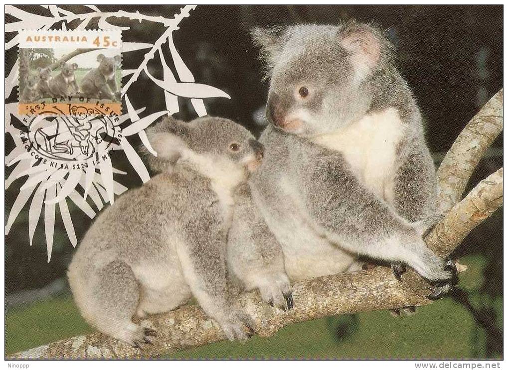 Australia-1994 Koala & Kangaroo,koala Quartet   Maximum Card - Maximumkaarten