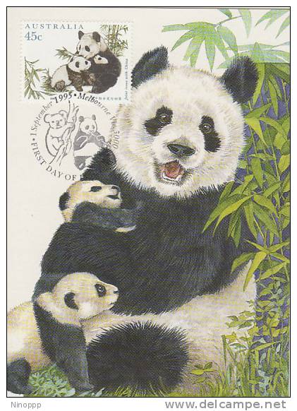Australia-1995 Australia-China Joint Issue,45c Panda    Maximum Card - Maximum Cards