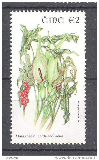 Ireland 2004 Mi. 1603 A   2 € Wild Flowers Blumen Gemeiner Aronstab MNG - Unused Stamps