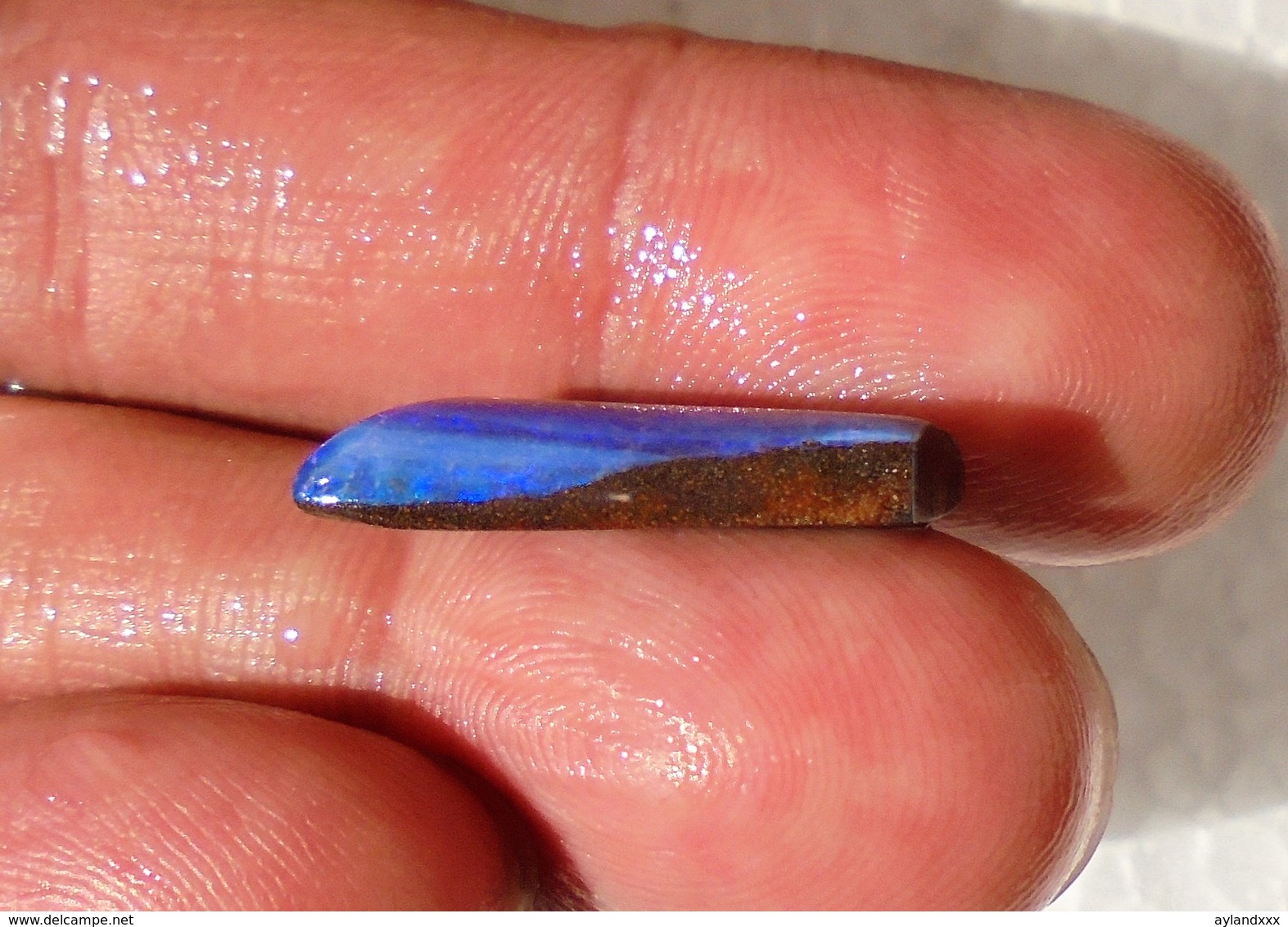 Australian Boulder Opal (7.1 Ct) - Ready For Setting - Opale