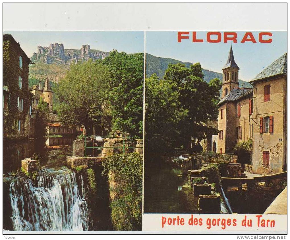 Cp , 48 , FLORAC , Porte Des Gorges Du Tarn , Alt. 545m. - Florac