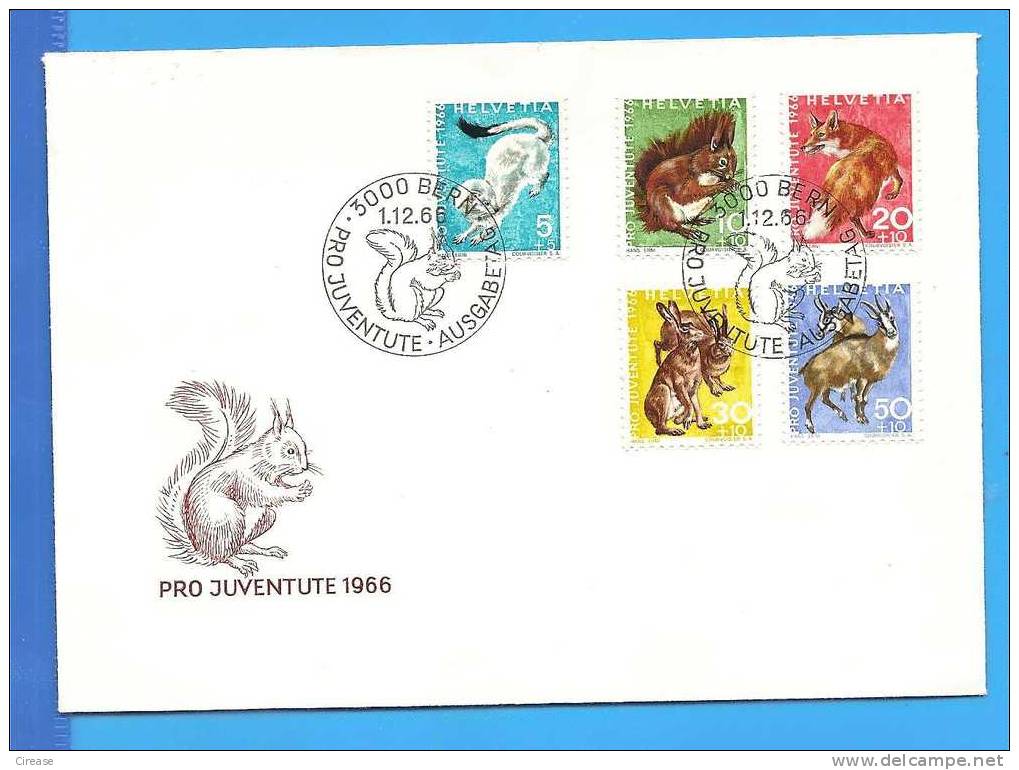 SWITZERLAND Envelope1966, Forest Fauna, Rabbit, Fox Squirrel - Lapins