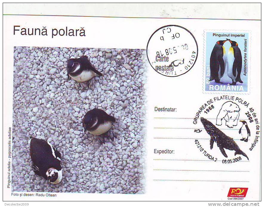 M768 Postal Card Romania Polar Fauna Pingouins Penguins Perfect Shape - Pinguïns & Vetganzen