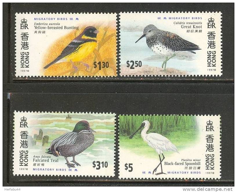 Hong Kong        Migratory Birds      Set       SC# 784-87 MNH** - Autres & Non Classés