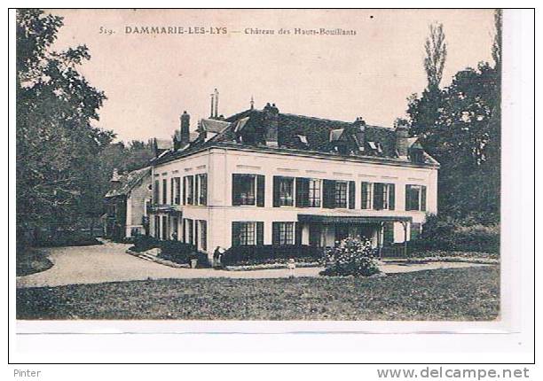 DAMMARIE LES LYS - Château Des Hauts-Bouillants - Dammarie Les Lys