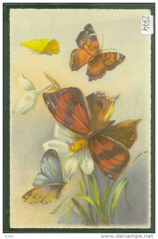 PAPILLONS - TB - Butterflies