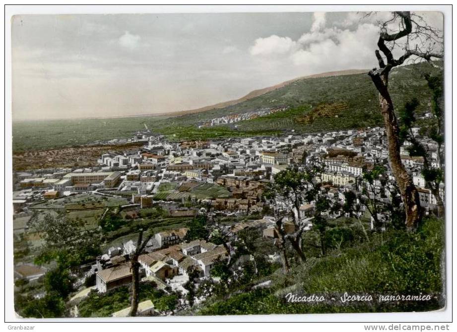 NICASTRO, PANORAMA, VIAGGIATA   **** - Catanzaro