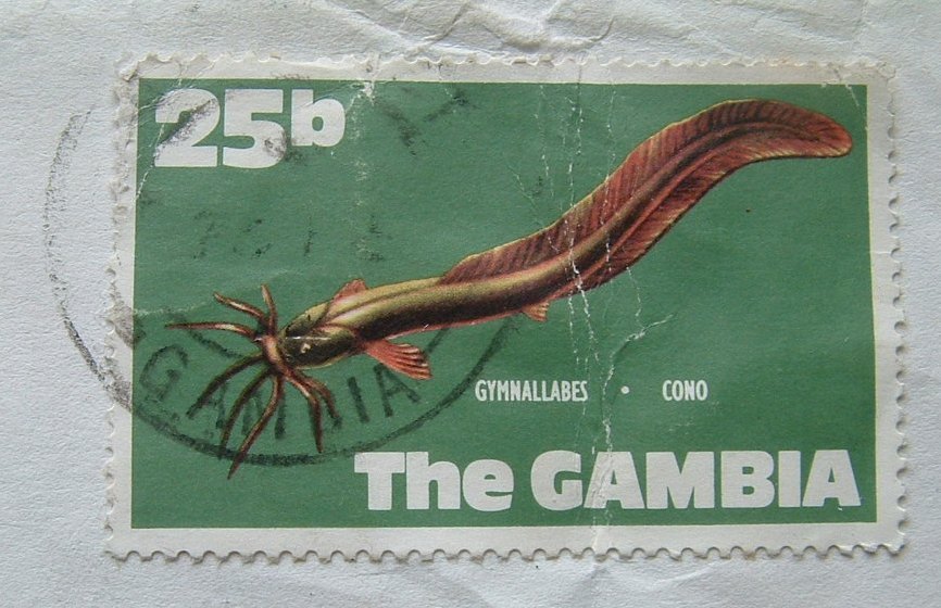 Gambia 1972 Cover To England UK - Fish - Gambie (1965-...)