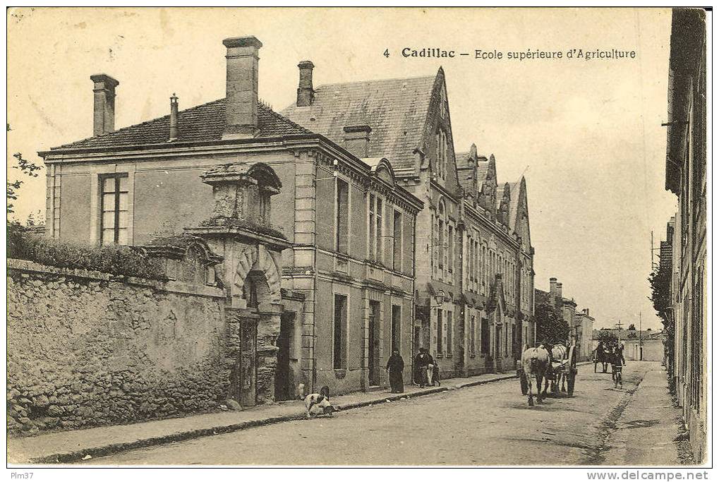 CADILLAC - Ecole D'Agriculture - Cadillac