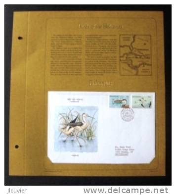 Enveloppe FDC Sur Feuillet - Wildlife. Bahamas 1981. Michel N° 482 & 484. - Bahamas (1973-...)