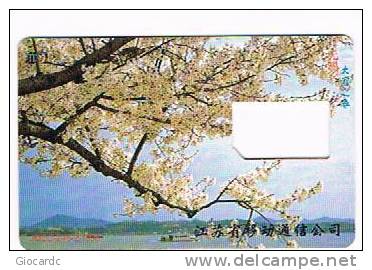 CINA  - CHINA TELECOM - GSM SIM CARD (WITHOUT CHIP)   -  TREE IN FLOWER            - USED  -  RIF. 2846 - China