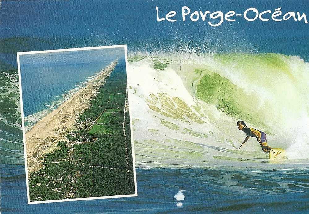 FRANCE  Surf             (souvent Il Y à 2 Scans Recto Verso Pour Flamme Ou Beau - Wasserski