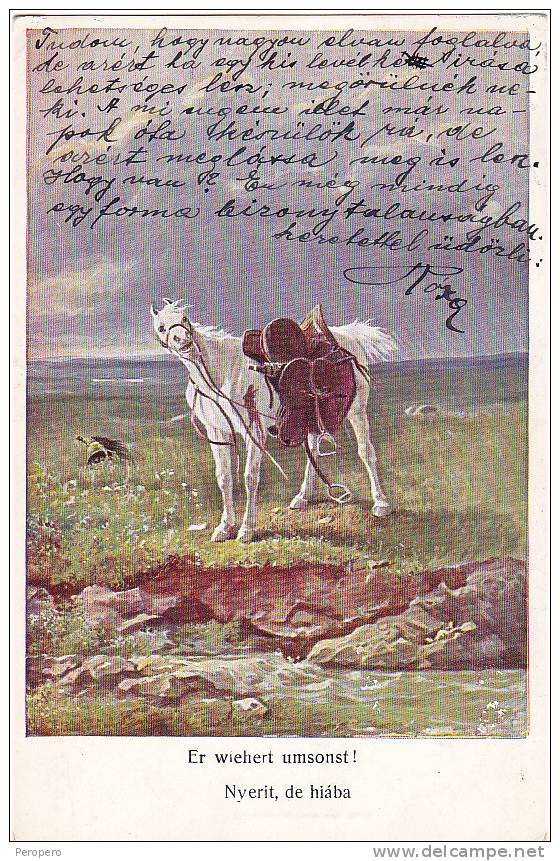 AK PFERDE HORSE WEISSE   OLD POSTCARD 1916 - Pferde
