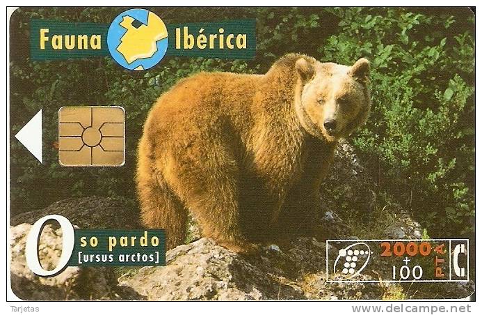 B-044/1 TARJETA OSO PARDO CHIP F-4  NUMEROS LASER PEQUEÑOS - Basisausgaben