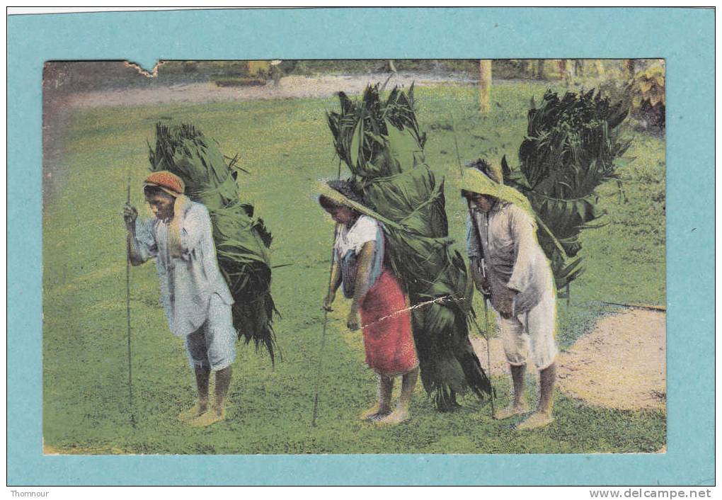 COSTA RICA  -  Talamanca Indians Bringing In Thatch.  -  1935  - ( Défaut Par Timbre Arraché ) - Costa Rica