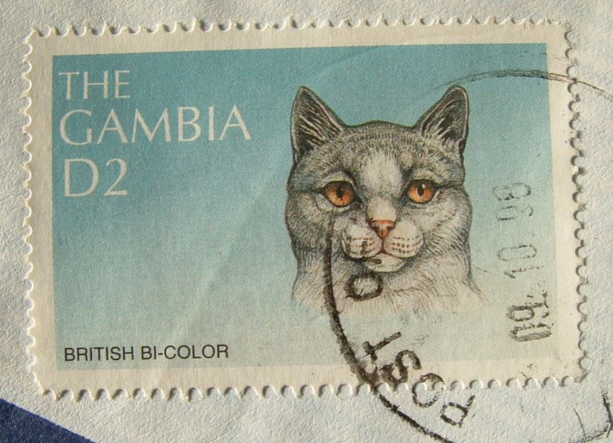 Gambia 1998 Cover To England UK - British Bi-color Cat - Gambia (1965-...)