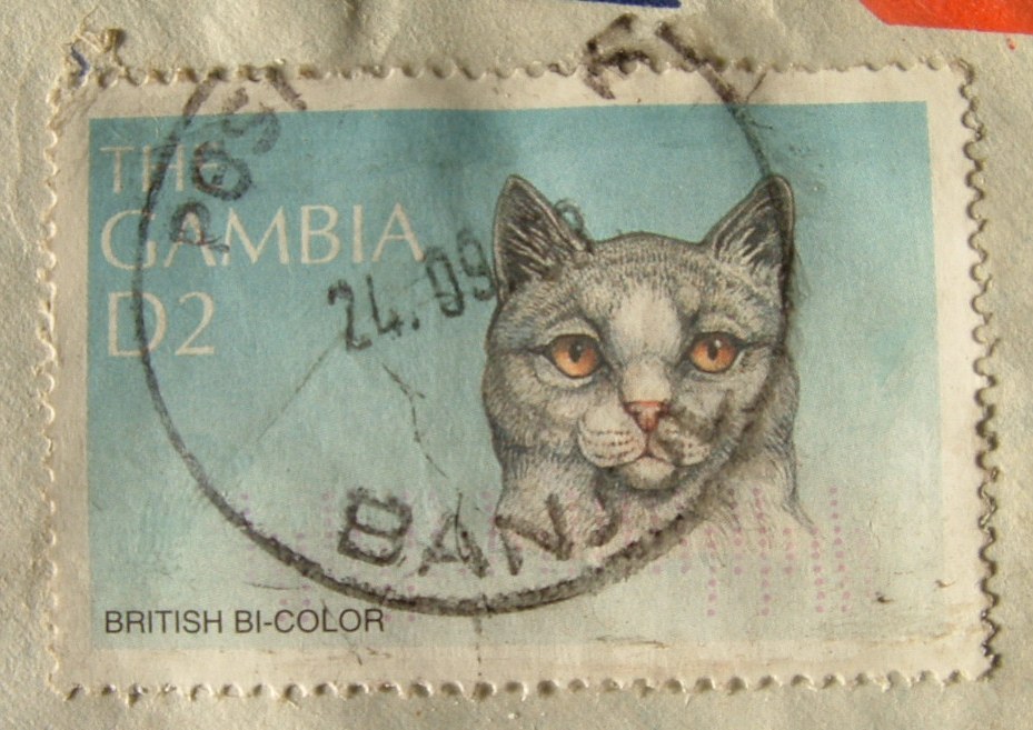 Gambia 1998 Cover To Germany - Education - British Bi-color Cat - Gambie (1965-...)