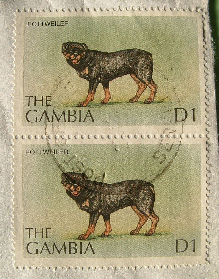 Gambia 2000 Cover To England UK -  Rottweiler Dog - Gambie (1965-...)