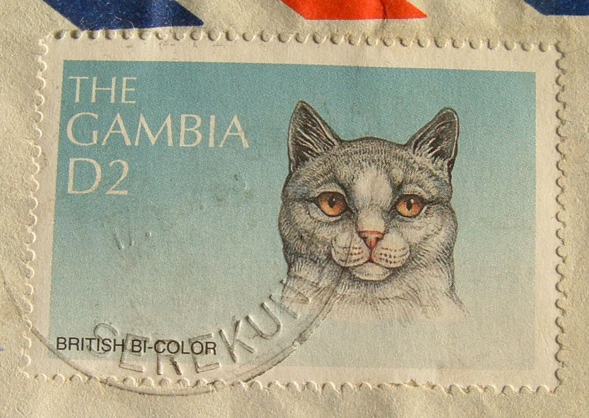 Gambia 2000 Cover To England UK -  British Bi-color Cat - Gambie (1965-...)