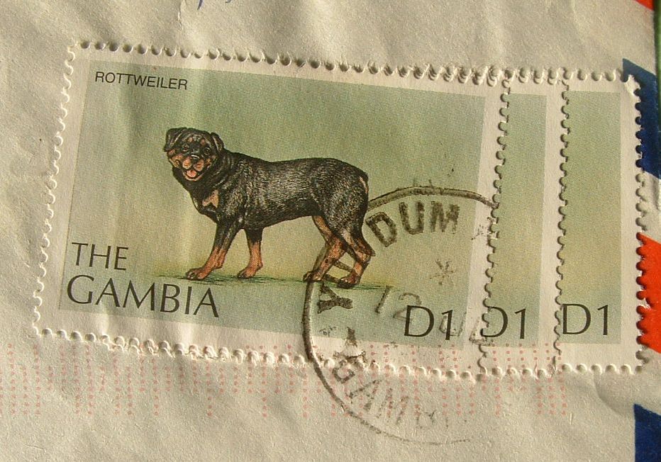 Gambia 2002 Cover To England UK - Rottweiler Dog - Gambie (1965-...)