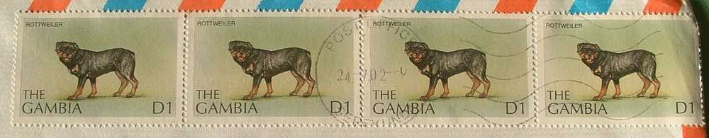 Gambia 2002 Cover To England UK - Rottweiler Dog - Gambie (1965-...)