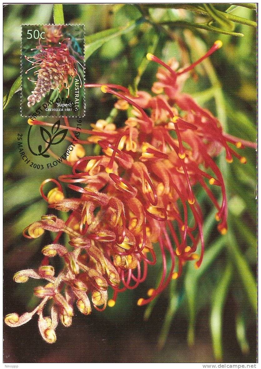 Australia-2003 Blooms,Superb Grevillea   Maximum Card - Maximum Cards