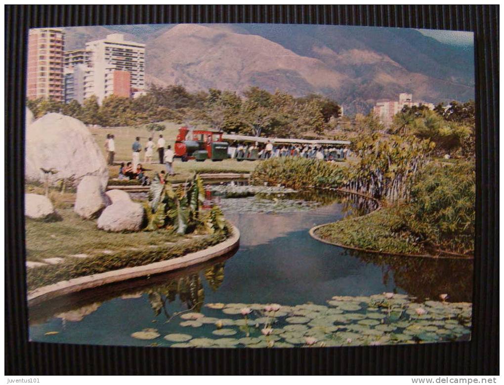 CPSM VENEZUELA-Caracas-Parque Del Este-recreation Park - Venezuela