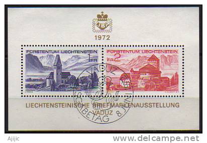 BF # 12.  Chateau De Vaduz & Village De Bendern.   Oblitere.  Cote 4.50 € - Blocs & Feuillets