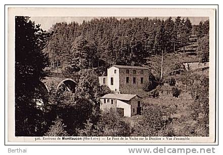 43 Environs De MONTFAUCON - Pont De La Vache Sur La Duniere - Montfaucon En Velay