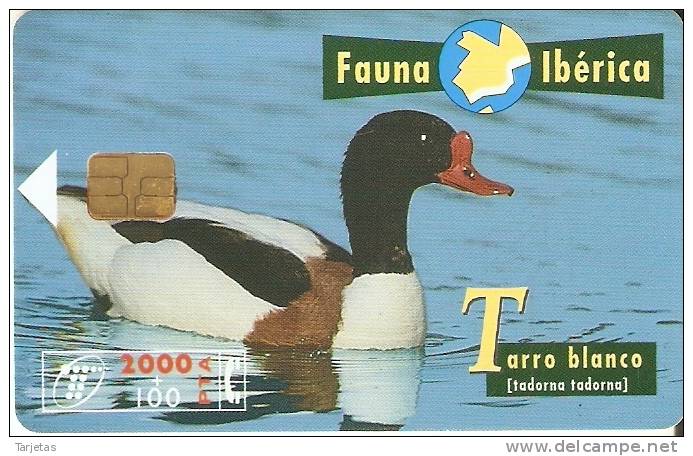 B-074 TARJETA DEL TARRO BLANCO DE  FAUNA IBERICA (DUCK) - Emissions Basiques