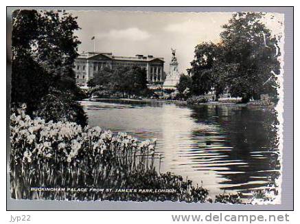 Jolie CP Photo Angleterre Buckingham Palace From St James's Park - CAD 20-05-1955 / Tp Marianne Gandon 886 - Buckingham Palace