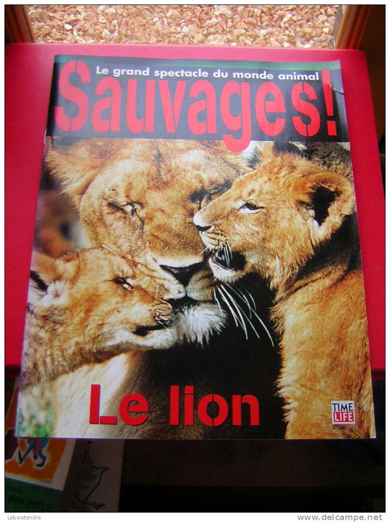 SAUVAGES !! LE LION -TIME LIFE-1998- 4 PHOTOS DE LA REVUE - Animals