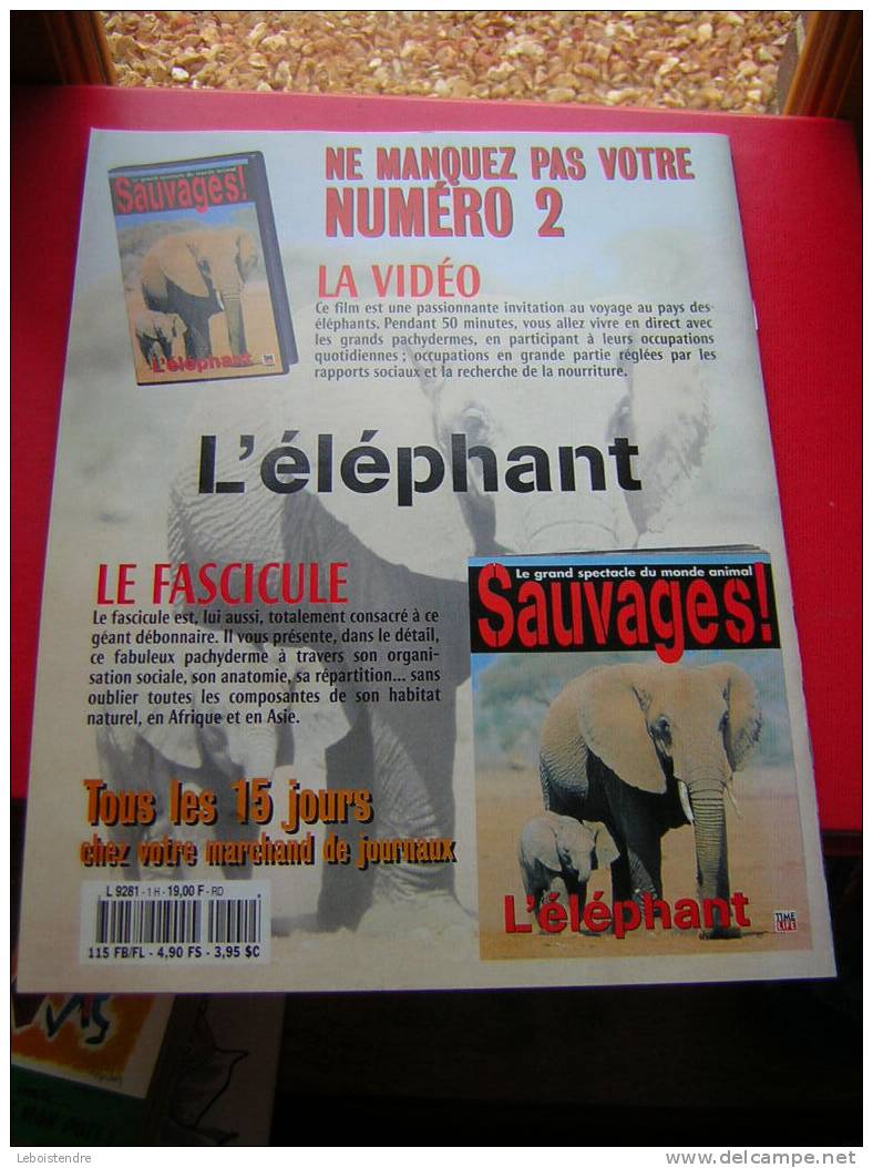 SAUVAGES !! LE LION -TIME LIFE-1998- 4 PHOTOS DE LA REVUE - Animals