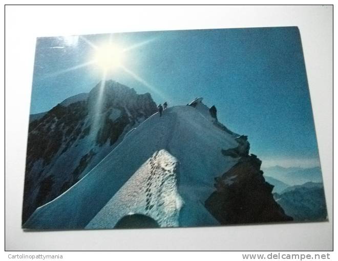 Scalatori Monte Bianco Cresta Del Rochefort Controluce - Bergsteigen