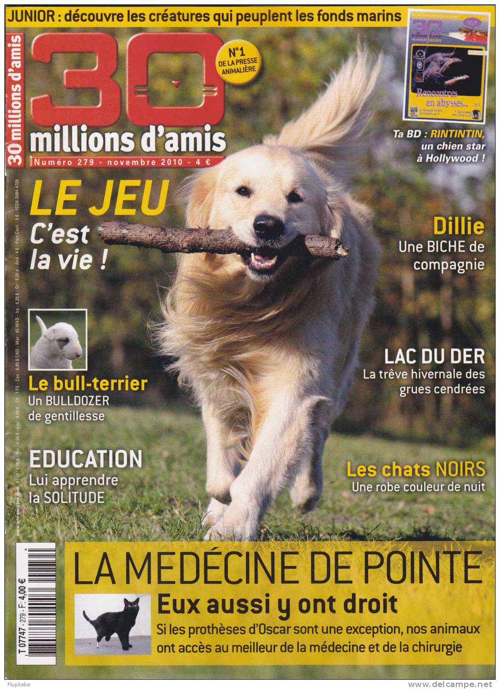 30 Millions D´Amis 279 Novembre 2010 Le Bull-Terrier Le Lac Du Der Les Chats Noirs La Medecine Pour Animaux - Dieren