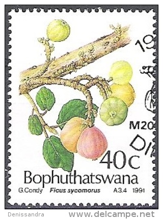 Bophuthatswana 1991 Michel 259 O Cote (2002) 1.20 Euro Figue Cachet Rond - Bofutatsuana