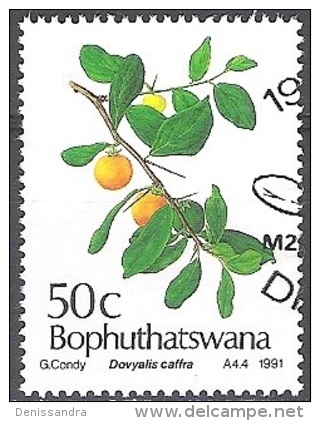 Bophuthatswana 1991 Michel 260 O Cote (2002) 1.60 Euro Umkokolo Cachet Rond - Bophuthatswana