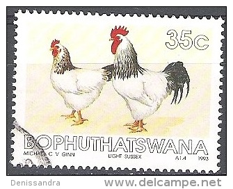 Bophuthatswana 1993 Michel 290 O Cote (2002) 0.60 Euro Poules De Sussex Cachet Rond - Bophuthatswana