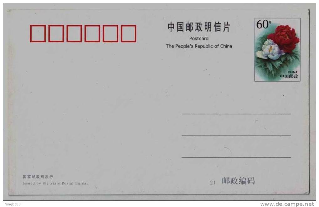 Pigeon & Seagull,bronze Pot,Terra-cotta Warriors Army Of Emperor Qin,CN01 Ping'an Insurance Company Ad Pre-stamped Card - Palomas, Tórtolas