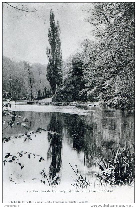 Environs De Fontenay-le-comte - Le Gros Roc St-Luc - Fontenay Le Comte