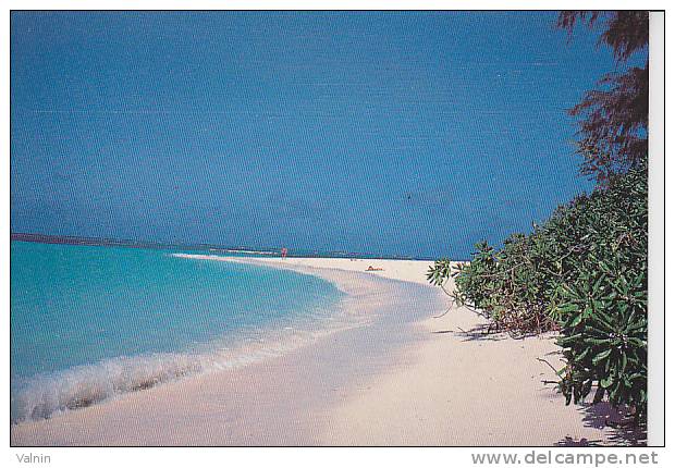Seychelles Ile Denis - Seychellen