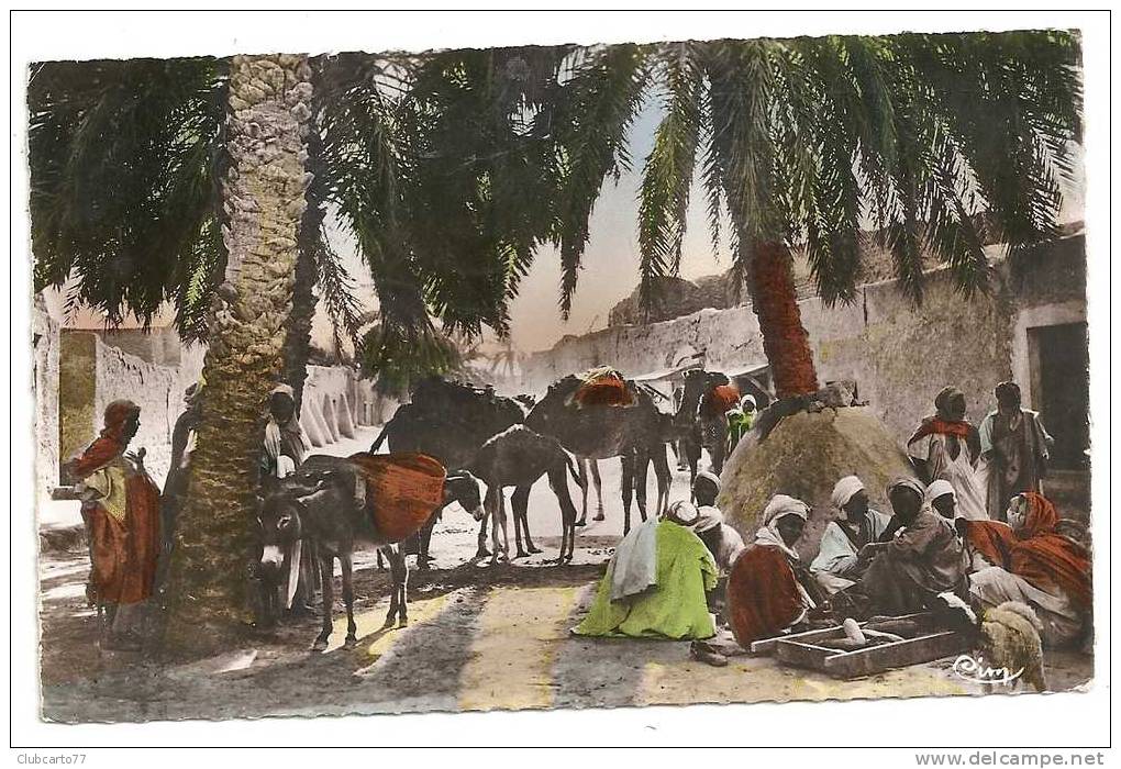 Alger (Algérie) :  Daïa-Ben-Dahova à Ghardaia M'zab En 1950 (animée). - Skikda (Philippeville)