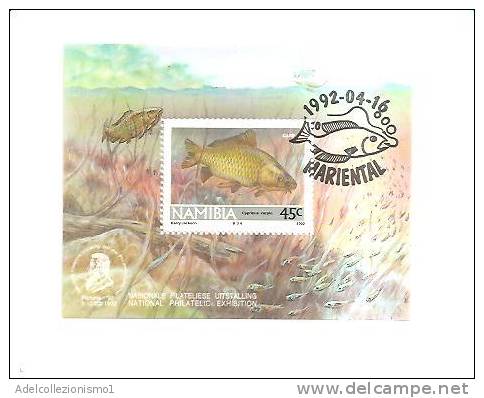 48561)foglietto Namibia 1992 Bfn14 Pesci Con Un Valore - Usato - Namibia (1990- ...)