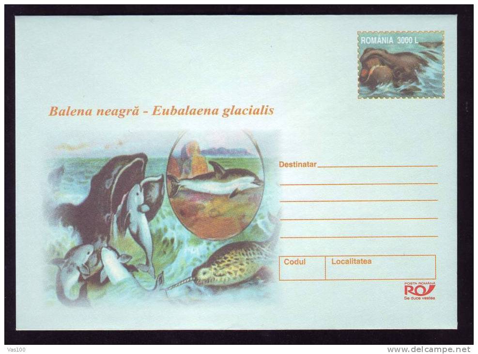 WHALE,BALEINES  2002 COVER POSTAL STATIONERY ENTIER POSTAUX,POLAR FAUNA. - Baleines