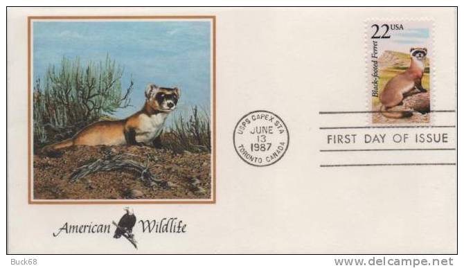 ETATS-UNIS USA 1765 FDC American Wildlife : Putois Iltis - Rongeurs