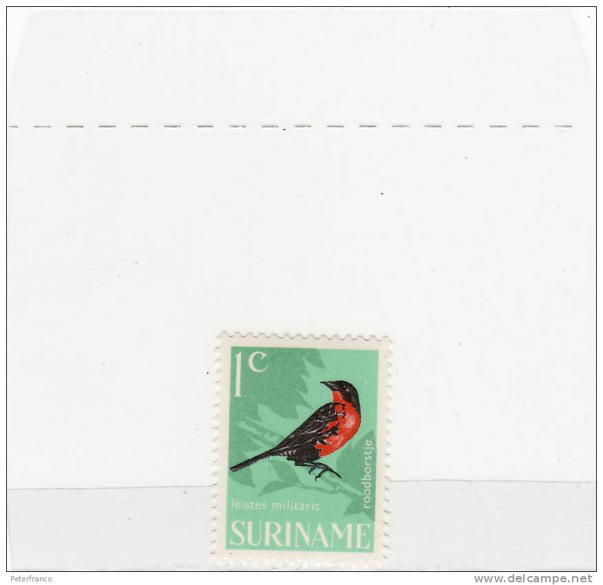 1966 Suriname - Uccelli - Leistes Militaris - Sparrows